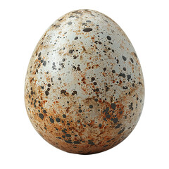 realistic quail egg isolated on transparent background, element remove background, element for design