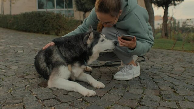 Casual young woman with smartphone stroking playing Husky dog outdoor at autumn city park closeup