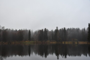 morning mist on the lake