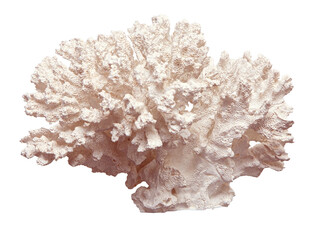 light coral isolated o