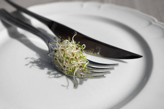 Assiette avec couverts et graines germ&eacute;es