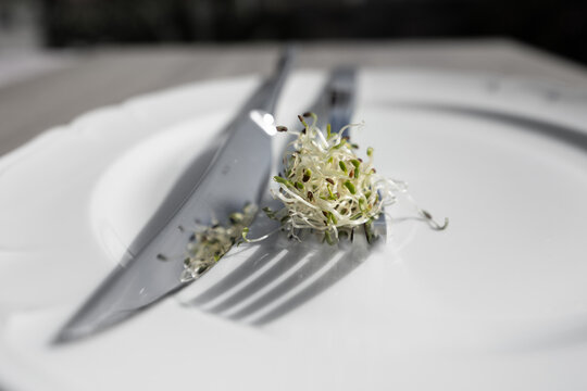 Assiette avec couverts et graines germ&eacute;es