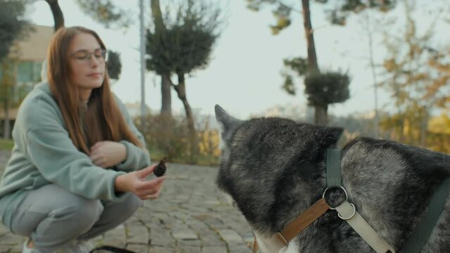 Beautiful young female canine pet owner playing with Husky dog outdoor at autumn city park closeup