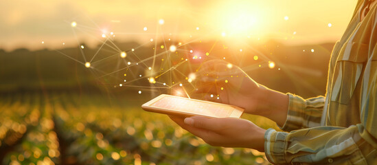 farm with technology concept background. young women use tablet with virtual hologhrapic at vegetables field