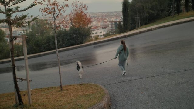 Active woman walking with Husky dog on wet asphalt road after rain at autumn city park