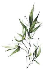 Watercolor hand painted exotic greenery bouquet. Green bamboo branches, leaves and twigs. Watercolour template design.
