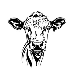 Cow Vector