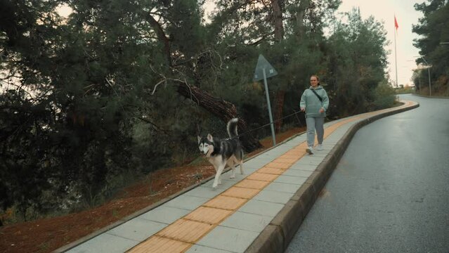 Smiling casual young woman walking with Husky dog on asphalt road at park with spruce tree