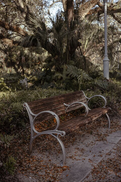 sit and watch