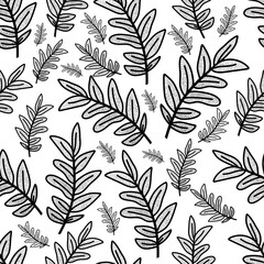 Minimalist botanical doodle plant branch pattern on isolated white background. For packaging paper, wallpapers, prints.
