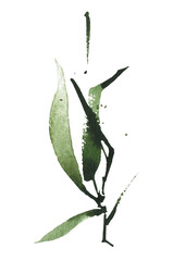 Watercolor hand painted green bamboo branch with leaves. Exotic greenery twig. Clipart watercolour illustration.
