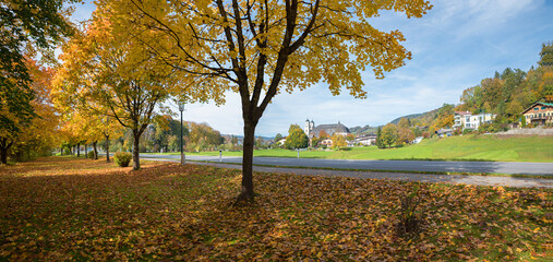 autumnal landscape Mondsee, yellow maple trees. view to St. Michael Basilika church