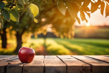 Red Apples on an empty Wooden Table with apple farm background