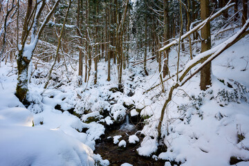 雪が積もる森の中を流れる小川