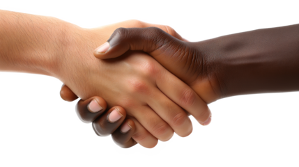 Cumprimento de mãos negras e brancas. Fundo transparente (PNG). Uso: diversidade, igualdade, conceitos de união, design inclusivo
