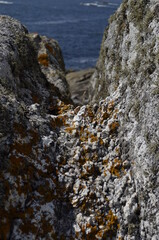 Rocks