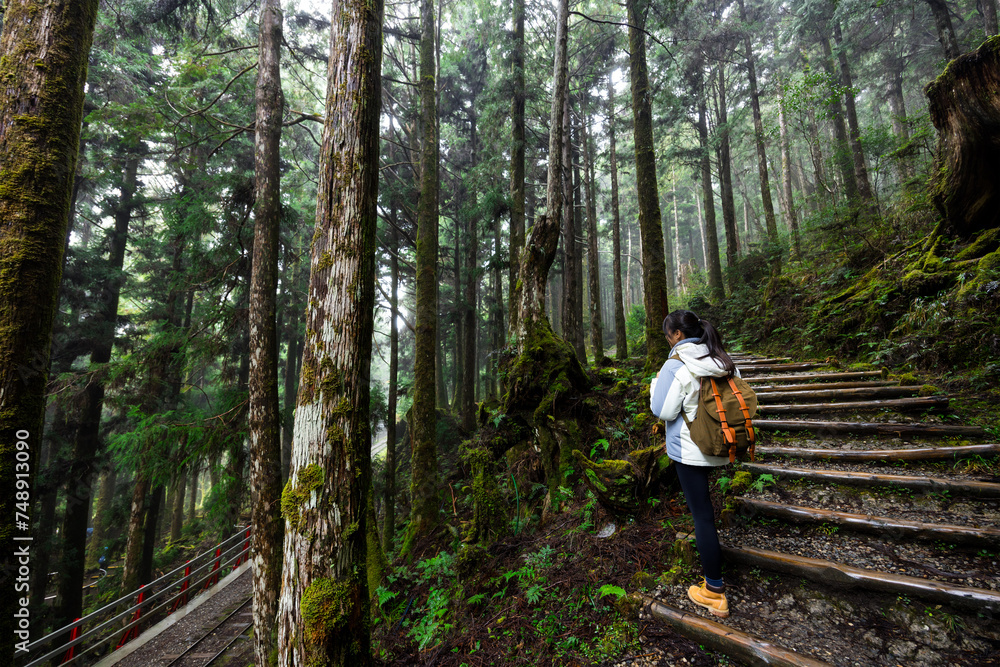 Canvas Prints woman go hiking over the forest