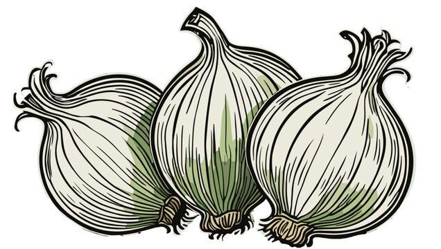 Cebollas