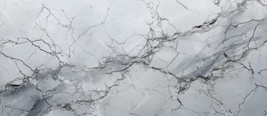 Up-close view of a high-resolution Italian grey limestone marble texture, showcasing intricate patterns for abstract interior home decoration.