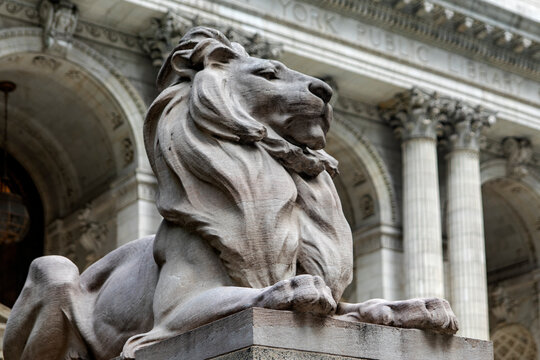 New York, USA; June 4, 2023: Patience one of the marble lions guarding the New York library, which contains a wealth of books and has been the setting for movies.