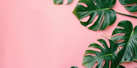 Vibrant green leaves on a soft pink background. Perfect for nature-themed designs