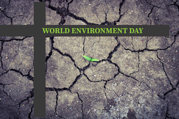 A cross on a cracked ground with the words world environment day. Drought water and climate crisis....