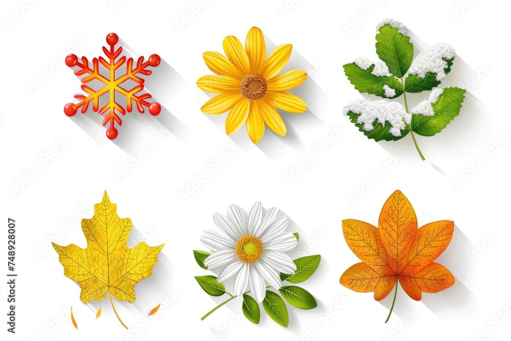 Poster a collection of four different types of leaves and flowers. ideal for botanical or nature-themed pro