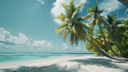 A beautiful sandy beach with palm trees, perfect for travel brochures or vacation websites