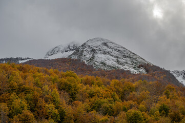 Molise, Mainarde. Autumn landscape. Foliage