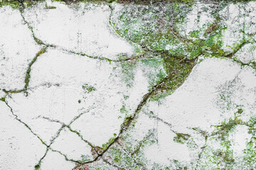 Cracked and Broken Concrete Texture