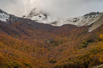 Molise, Mainarde. Autumn landscape. Foliage