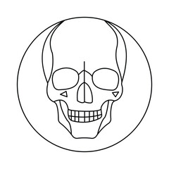 skull single continuous one line out line vector art  drawing  and tattoo design