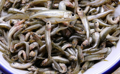 dish with fish called sand smelt of Atherinidae  family are very appreciated in the Italian and...