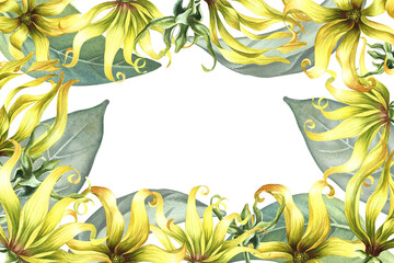 A frame with ylang-ylang flowers. A border with exotic fragrant yellow flowers. A hand-drawn watercolor illustration. An element of the design of packaging, postcards and labels. For a banner, a flyer