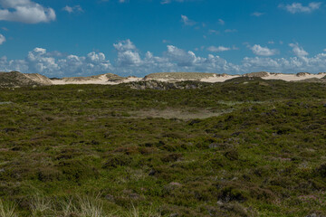 Sylt, Dünenlandschaft