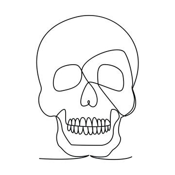 recommend clip art: skull single continuous one line out line vector art  drawing  and tattoo design