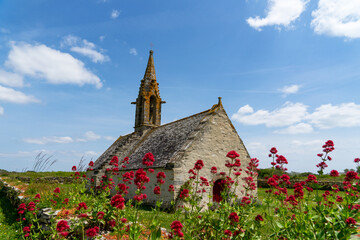 La chapelle Saint-Vio se cache derrière un écran de fleurs champêtres rouges en été, ajoutant...