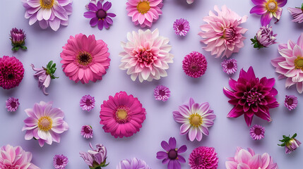Pink and purple flowers laid flat