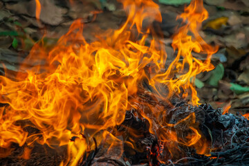 Slow motion flame fire burning garbage waste.