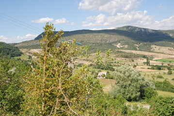 vineyard in the mountains near Verdon