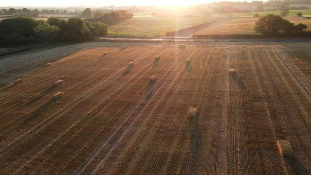 Low flight over cultivated fields with haystacks after harvesting and tractor makes haystacks in Yorkshire region in UK. Aerial motion view