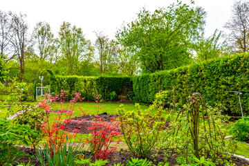 Garden with trees plants hut compost beds lawn in Germany.