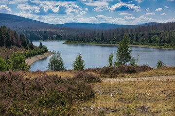 Eckertalsperre, Harz, Deutschland