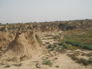 landscape in the chambal river India 