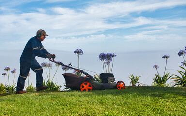 Gardening worker mowing the lawn on a hill with flowers and sky in the background.