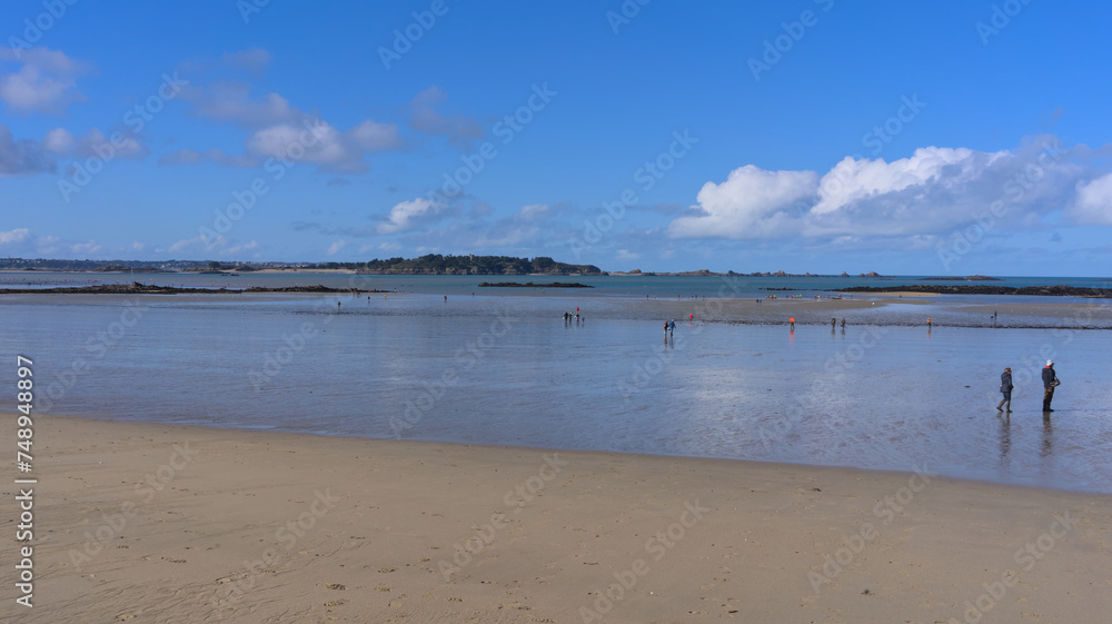 Wall mural gran beach of lancieux, france during low tide