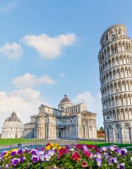 Flowers and Leaning Tower