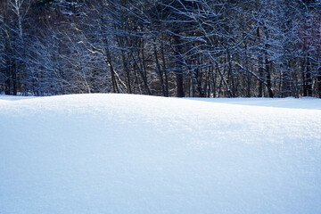 Snowy plain on dark forest background in winter. Snow hills. Composition of nature.