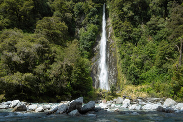A beautiful scene of Thunder Creek Falls and the Haast River consists of pure, fresh water from a glacier. It is located near the route to Lake Wanaka, New Zealand.