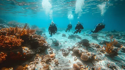 Poster Scuba divers exploring underwater near a living coral reef in the ocean © yuchen